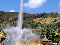 -西双版纳原始森林公园