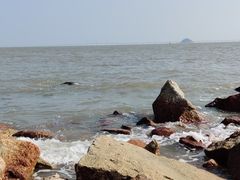 -野狸岛