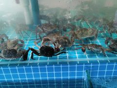 -蓝珊甄选海鲜自助·火锅大排档(近阿那亚店)