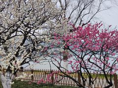 -杭州西湖风景名胜区-北街寻梦