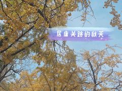 -八大关景区