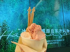 -鹤茶野所(上海首店)