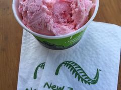 -Patagonia Chocolates(皇后镇店)