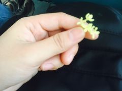 -马上吃潮汕鲜牛肉火锅店(城市花园惠民北小区店)