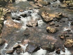 -广州市石门国家森林公园