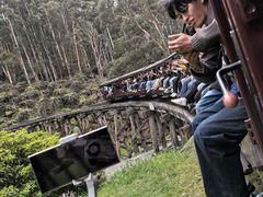 -普芬比利蒸汽火车
