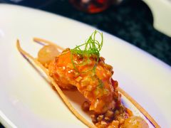 罗勒金酱干烧龙虾尾-临江宴(陆家嘴店)