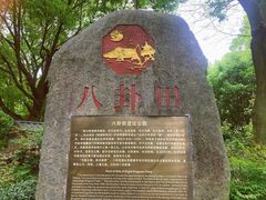 -八卦田遗址公园
