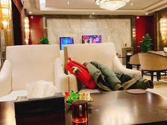 -郑州新郑国际机场T2航站楼-贵宾厅B区