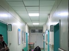 -北京观赏动物医院·24小时大型综合·猫专科·异宠专科