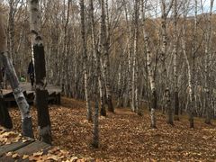 -塞罕坝国家级自然保护区