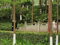 -重庆彩云湖湿地公园