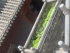 -长春观