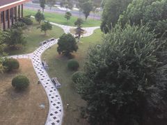 -真真鲜馄饨店(启蒙路店)