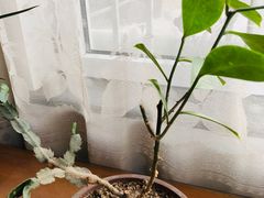 -瑞尔齿科(颐堤港诊所)