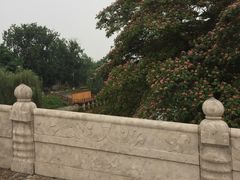 景点-赵州桥景区