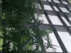 -厦门国家会计学院