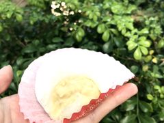 -澳门长洲糯米糍(柯打苏沙街店)