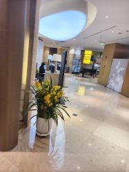 -上海薇琳医疗美容医院