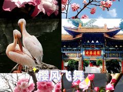 -昆明动物园