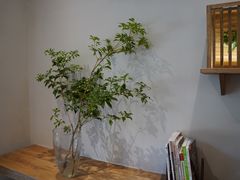-自然熟Bakery(纬四路店)