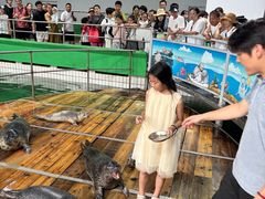 -西霞口神雕山野生动物世界