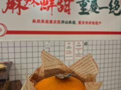 -聂发财重庆江湖菜(解放碑店)