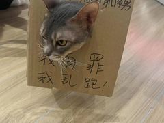 -NRG健身私教CLUB(打浦桥店)