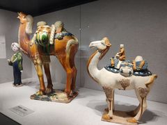 -四川宋瓷博物馆