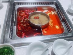 -巴奴毛肚火锅(九洲店)