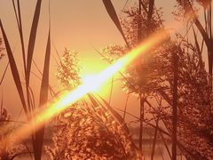 -野鸭湖国家湿地公园