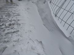 -峡谷浮石林景区