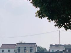 -莲花岛景区