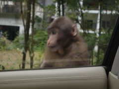 -西岭雪山大飞水景区