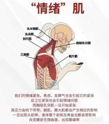 -归位瑜伽＆普拉提馆