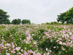 -尚贤河湿地