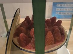 -艾轻甜·木糖醇动物奶油手作生日蛋糕(四惠店)