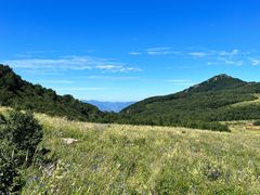 -白草畔自然风景区