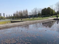 -尚贤河湿地