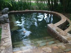 -三亚珠江南田温泉度假区