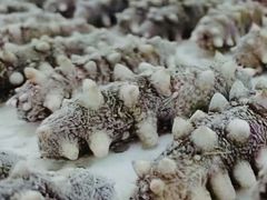 -7mall美食潮地标
