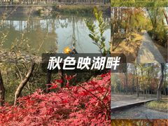 -南翔镇银翔湖公园