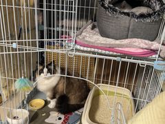 -达爱动物医院·犬猫分区·CT·复杂眼科(远洋山水分院)