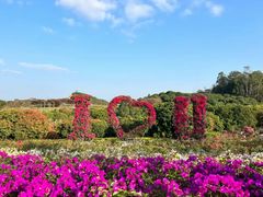 -东莞植物园