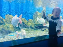 -石林冰雪海洋世界