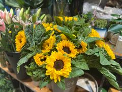 -沪花拾者(好再来花卉鲜花店)