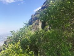 -阳台山自然风景区