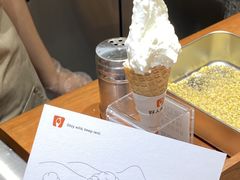 -野人先生Gelato(上海长宁龙之梦店)