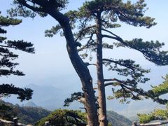 -罗田薄刀峰风景区