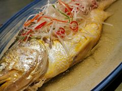 -晟永興烤鸭店(五道口店)